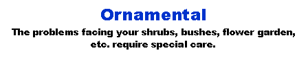 Text Box: OrnamentalThe problems facing your shrubs, bushes, flower garden, etc. require special care. 